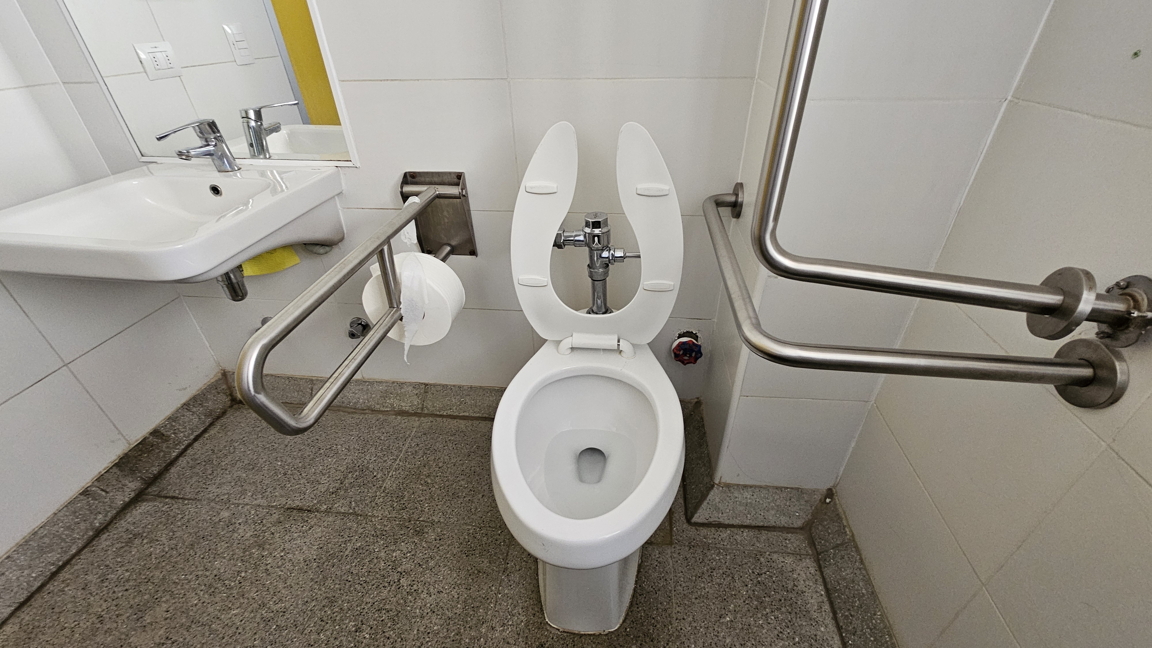 Fotografía de las herramientas de accesibilidad con las que cuenta el baño, lavamanos accesible, sanitario y barras de sugeción